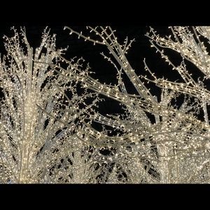 Meet your Posher, Desiree